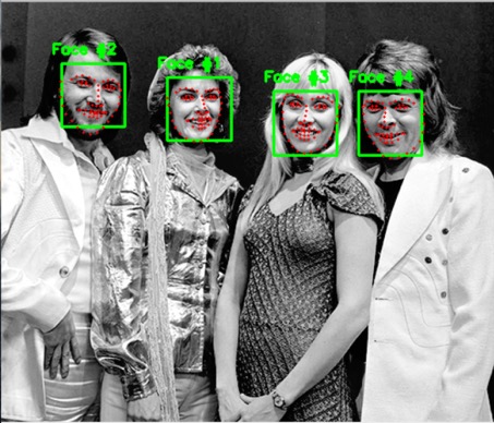 dlib Facial Detection